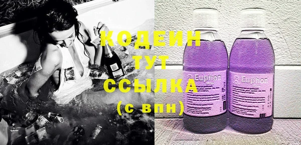 СК Сафоново