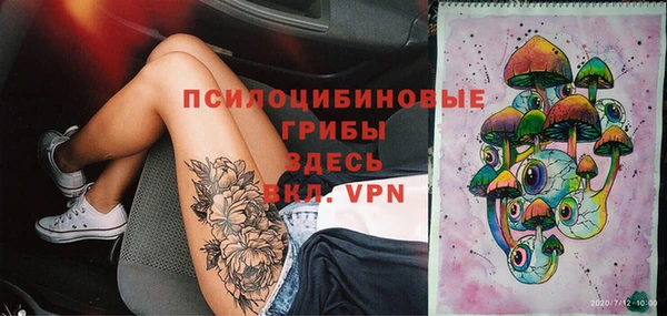 эйфоретик Сатка