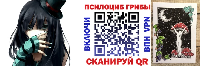 Псилоцибиновые грибы ЛСД  MEGA зеркало  Гудермес  хочу наркоту 